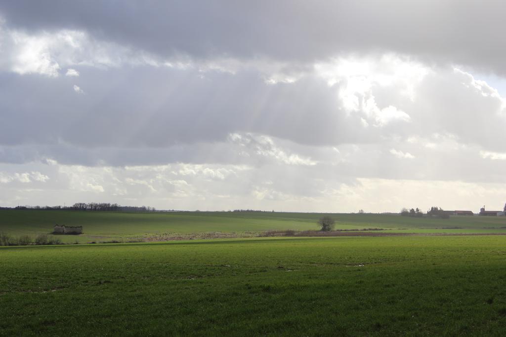 Gites A L'Ombre Des Chenes Chateauvieux  Екстер'єр фото
